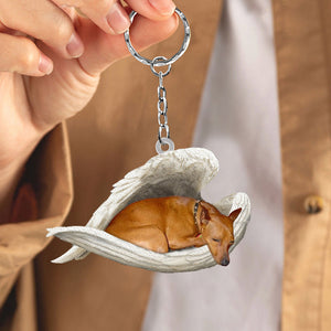 Dog Sleeping Angel Acrylic Keychain