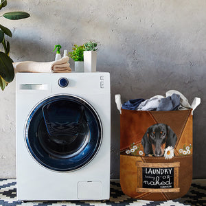 Dachshund Laundry Today Or Naked Tomorrow Laundry Basket