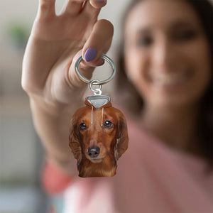 Dachshund02 3D Graphic Hoodie Acrylic Keychain