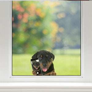 Do You Like My Selfie - Beauceron Car/ Door/ Fridge/ Laptop Sticker V1