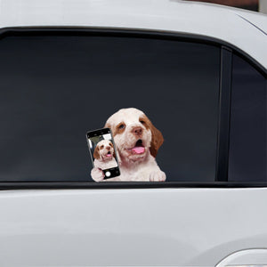 Do You Like My Selfie - Clumber Spaniel Car/ Door/ Fridge/ Laptop Sticker V1