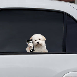 Do You Like My Selfie - Coton De Tulear Car/ Door/ Fridge/ Laptop Sticker V1