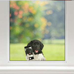 Do You Like My Selfie - Friese Stabij Car/ Door/ Fridge/ Laptop Sticker V1