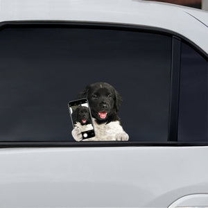 Do You Like My Selfie - Friese Stabij Car/ Door/ Fridge/ Laptop Sticker V1