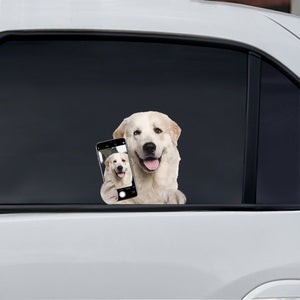 Do You Like My Selfie - Pyrenean Mountain Car/ Door/ Fridge/ Laptop Sticker V1