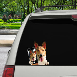 Do You Like My Selfie - Smooth Collie Car/ Door/ Fridge/ Laptop Sticker V1