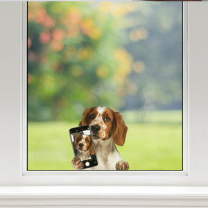 Do You Like My Selfie - Welsh Springer Spaniel Car/ Door/ Fridge/ Laptop Sticker V1