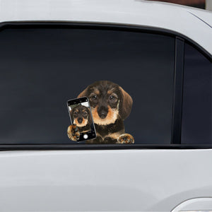Do You Like My Selfie - Wire Haired Dachshund Car/ Door/ Fridge/ Laptop Sticker V1