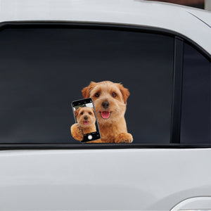 Do You Like My Selfie - Norwich Terrier Car/ Door/ Fridge/ Laptop Sticker V1