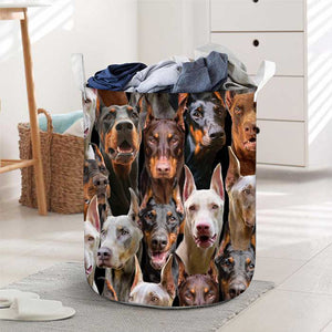 A Bunch Of Doberman Pinchers Laundry Basket
