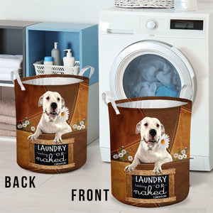 Dogo Argentino06 Laundry Today Or Naked Tomorrow Laundry Basket