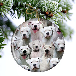 A Bunch Of Dogo Argentinoes Porcelain/Ceramic Ornament