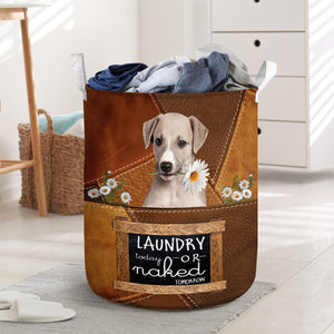 Greyhound Laundry Today Or Naked Tomorrow Laundry Basket