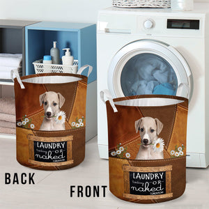 Greyhound Laundry Today Or Naked Tomorrow Laundry Basket