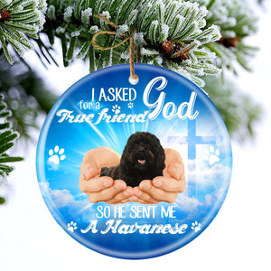 God Send Me A/An Havanese Porcelain/Ceramic Ornament