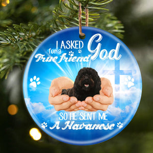 God Send Me A/An Havanese Porcelain/Ceramic Ornament