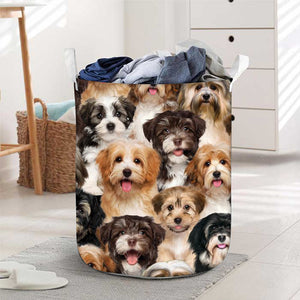 A Bunch Of Havaneses Laundry Basket