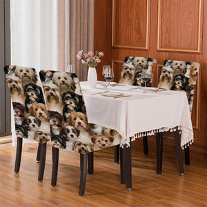 A Bunch Of Havaneses Chair Cover/Great Gift Idea For Dog Lovers