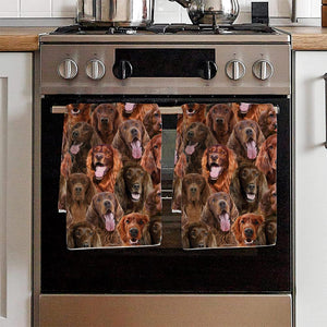 A Bunch Of Irish Setters Kitchen Towel