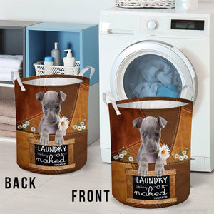 Italian Greyhound Laundry Today Or Naked Tomorrow Laundry Basket