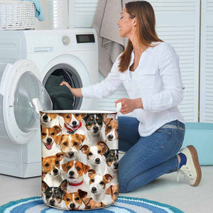 A Bunch Of Jack Russell Terriers Laundry Basket