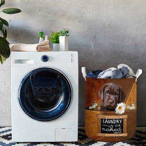Labrador Retriever Laundry Today Or Naked Tomorrow Laundry Basket