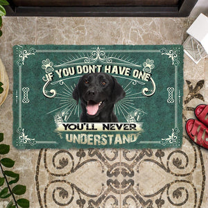 Have One Black Labrador Retriever Doormat
