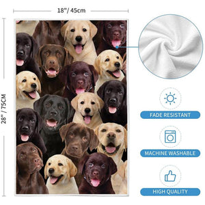 A Bunch Of Labradors Kitchen Towel