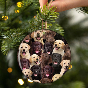 A Bunch Of Labradors Porcelain/Ceramic Ornament