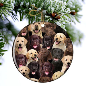 A Bunch Of Labradors Porcelain/Ceramic Ornament