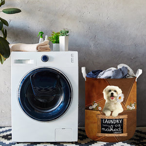 Maltese Laundry Today Or Naked Tomorrow Laundry Basket