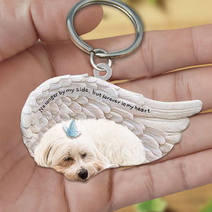 Maltese Sleeping Angel - Forever In My Heart Acrylic Keychain