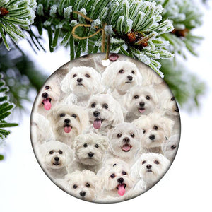 A Bunch Of Malteses Porcelain/Ceramic Ornament