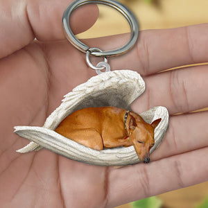 Miniature pinscher(Red)1 Sleeping Angel Acrylic Keychain