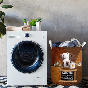 Pit Bull Laundry Today Or Naked Tomorrow Laundry Basket