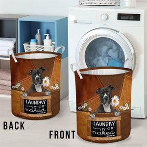 Pitbull Laundry Today Or Naked Tomorrow Laundry Basket