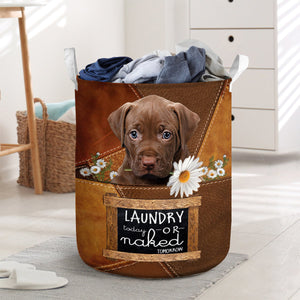 Pitbull 2 Laundry Today Or Naked Tomorrow Laundry Basket