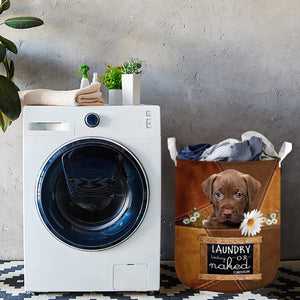 Pitbull 2 Laundry Today Or Naked Tomorrow Laundry Basket