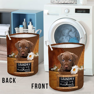 Pitbull 2 Laundry Today Or Naked Tomorrow Laundry Basket