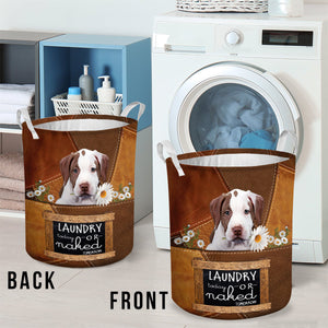 Pitbull2 Laundry Today Or Naked Tomorrow Laundry Basket