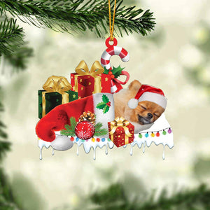 Pomeranian 2 Merry Christmas Hanging Ornament-0211