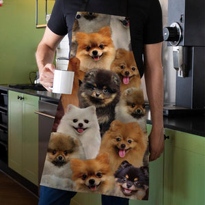 A Bunch Of Pomeranians Apron/Great Gift Idea For Christmas
