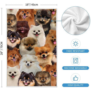 A Bunch Of Pomeranians Kitchen Towel