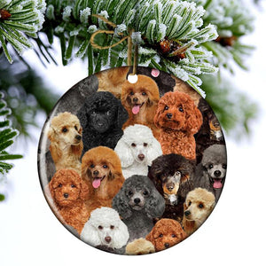 A Bunch Of Poodles Porcelain/Ceramic Ornament