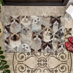 A Bunch Of Ragdoll Cats Doormat