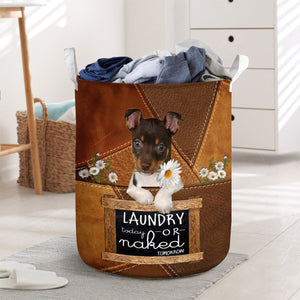 Rat Terrier Laundry Today Or Naked Tomorrow Laundry Basket