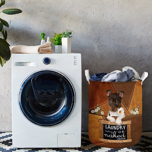 Rat Terrier Laundry Today Or Naked Tomorrow Laundry Basket