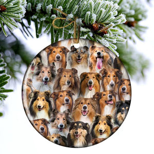 A Bunch Of Rough Collies Porcelain/Ceramic Ornament