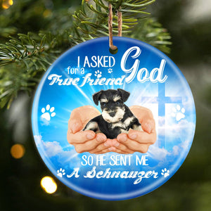 God Send Me A/An Schnauzer 2 Porcelain/Ceramic Ornament