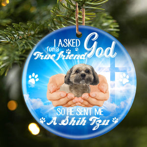 God Send Me A/An Shih Tzu Porcelain/Ceramic Ornament